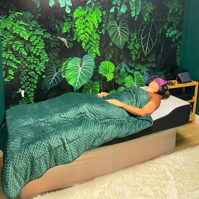 BioHarmonic Vibrational Sound Bed